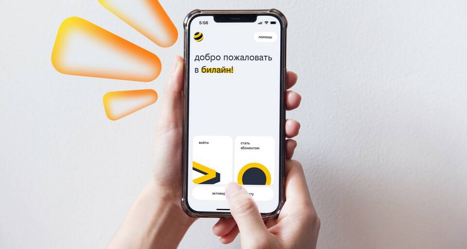 Как заказать детализацию звонков в Билайн
