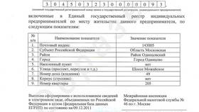 Чем отличается выписка ЕГРЮЛ от ЕГРН в Адамас