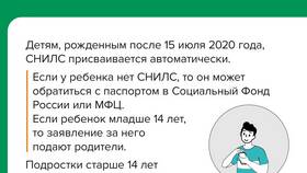Что такое СНИЛС 18 в Адамас