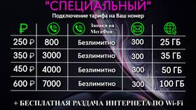 Как узнать какие услуги подключены в МегаФон в Адамас