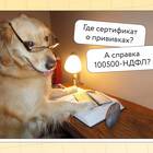 Что подтверждает оказание услуг