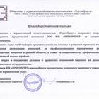 Ликвидация ООО: порядок сдачи отчетности